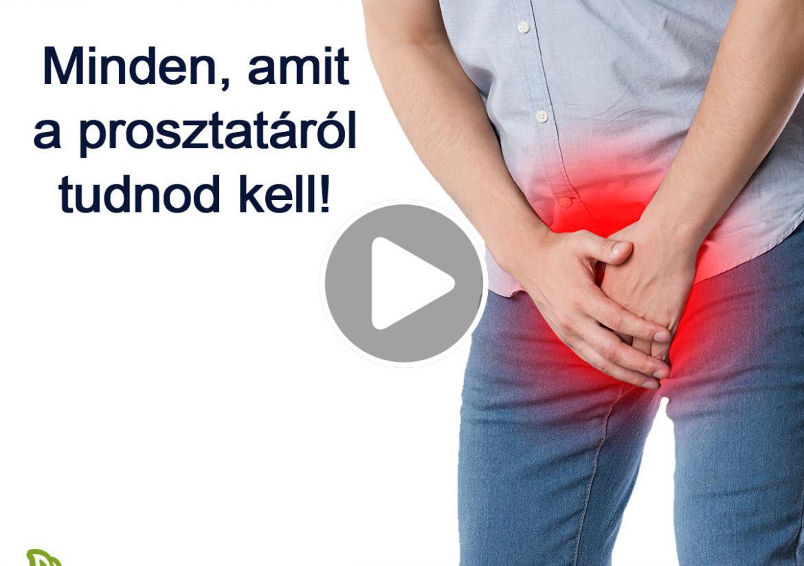 Minden, amit a prosztatáról tudnod kell!
