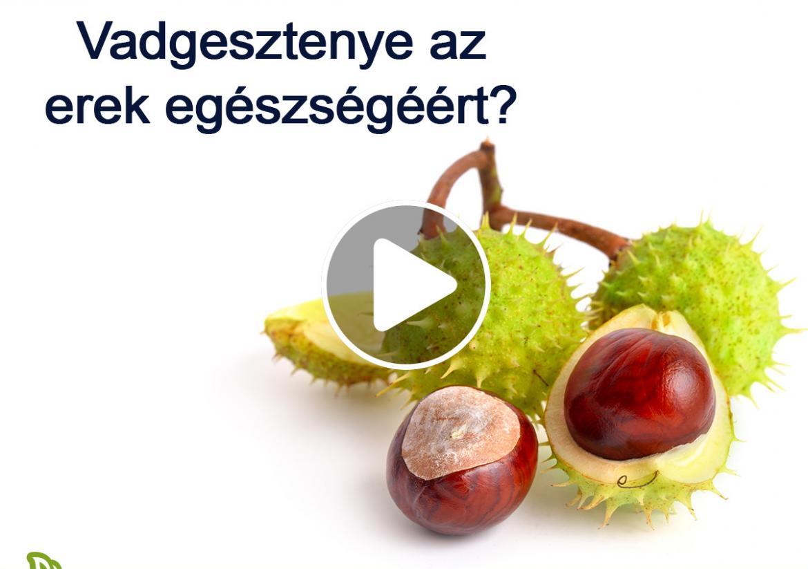 Vadgesztenye az erek egészségéért? Hogyan segít?