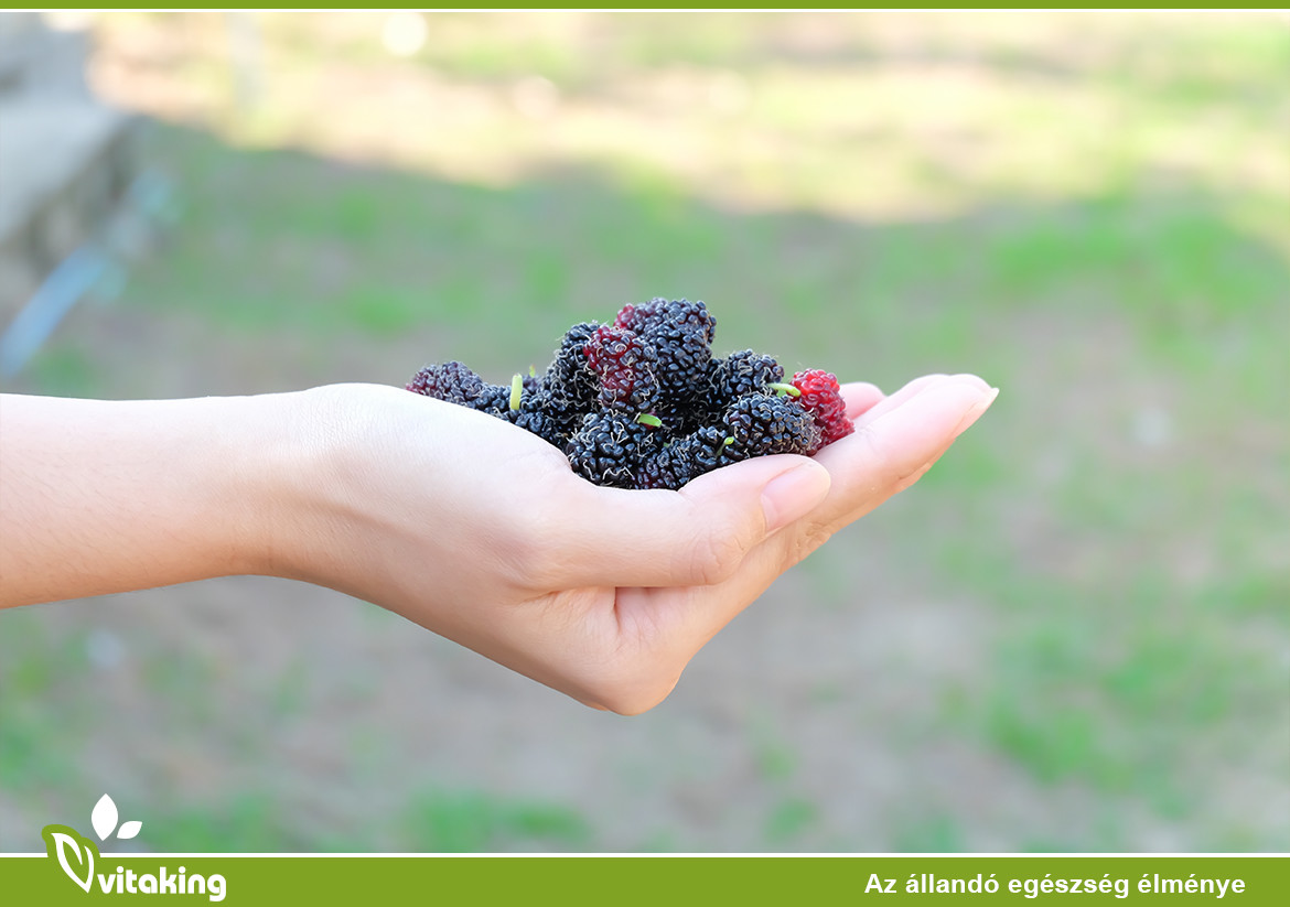 cukorbetegség kezelésére mulberry