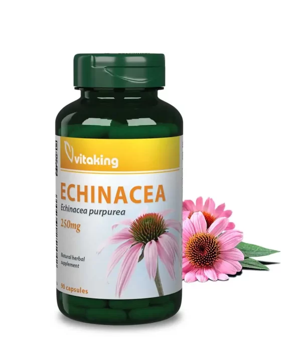 Vitaking Echinacea (bíbor kasvirág) kivonat 250mg (4:1 koncentrátum)