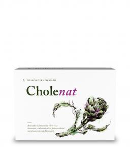 Vitaking Cholenat, az articsóka erejével, a normál koleszterinszintért!