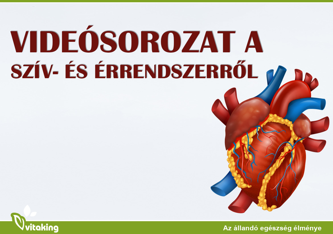 Konferencia a szív- érrendszeri betegek diagnosztikájáról, ápolásáról – Semmelweis Hírek
