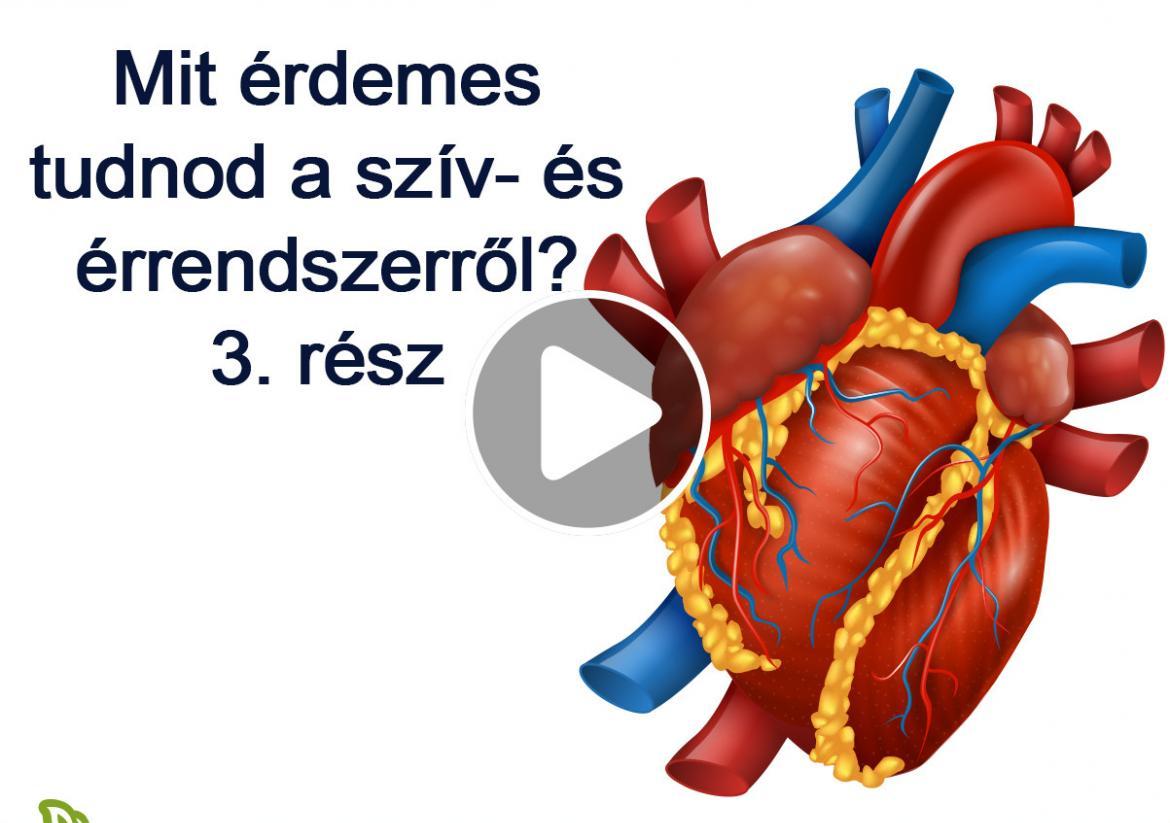 Tudd meg, mi minden befolyásolhatja a szív- és érrendszer egészségét! 3. rész