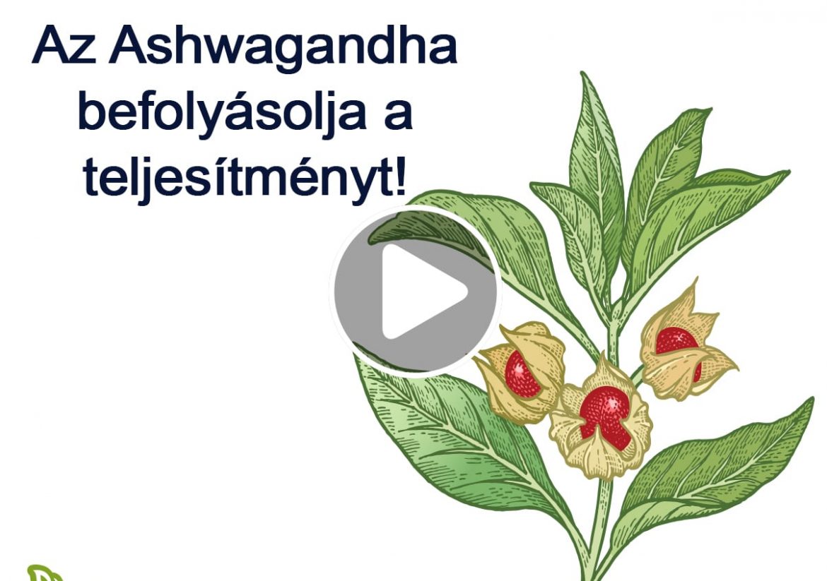 Ashwagandha: hatással van a szellemi és fizikai teljesítményre!