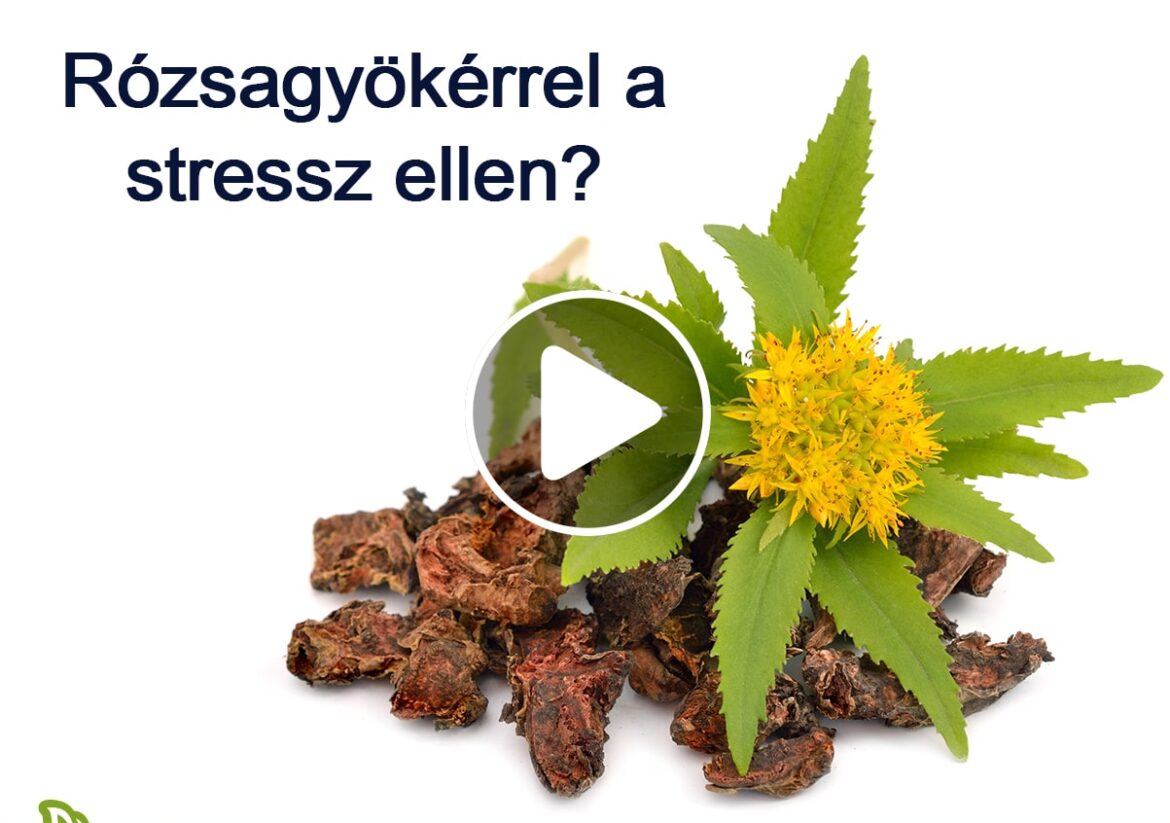 Aranygyökérrel a stressz ellen?